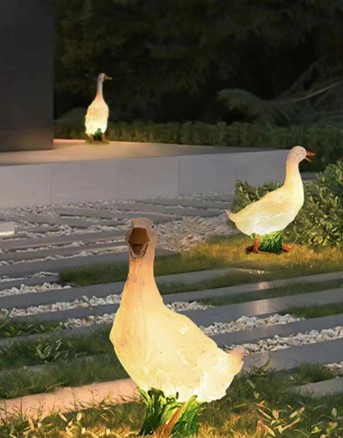 1667209212203369.jpg 圖片6.jpg