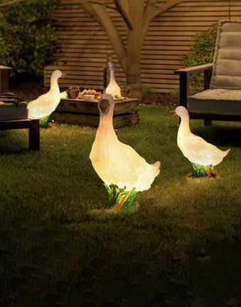 1667209196170067.jpg 圖片2.jpg