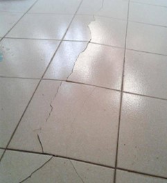 1667532444193446.jpg 圖片1.jpg