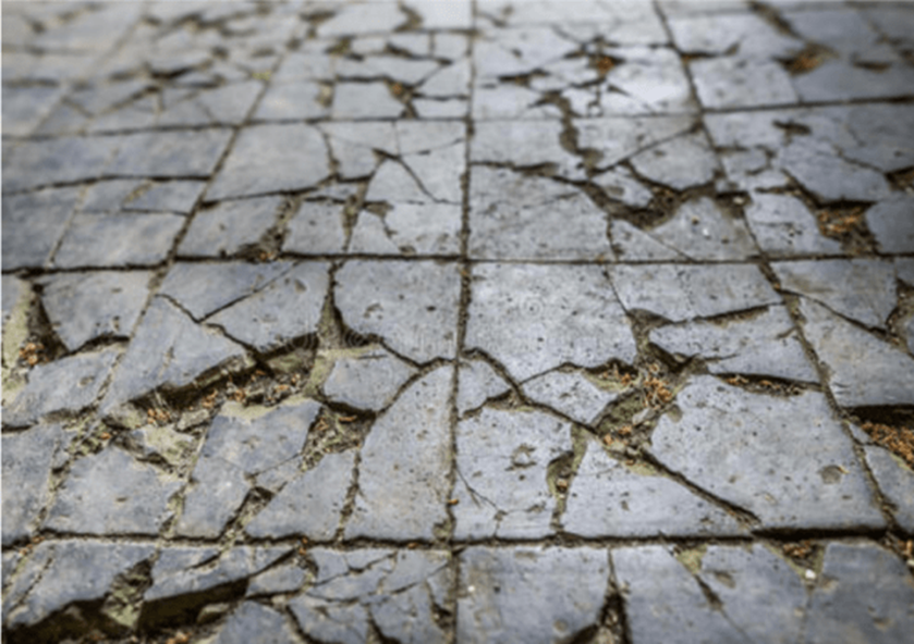 1667532261120479.png 圖片4.png